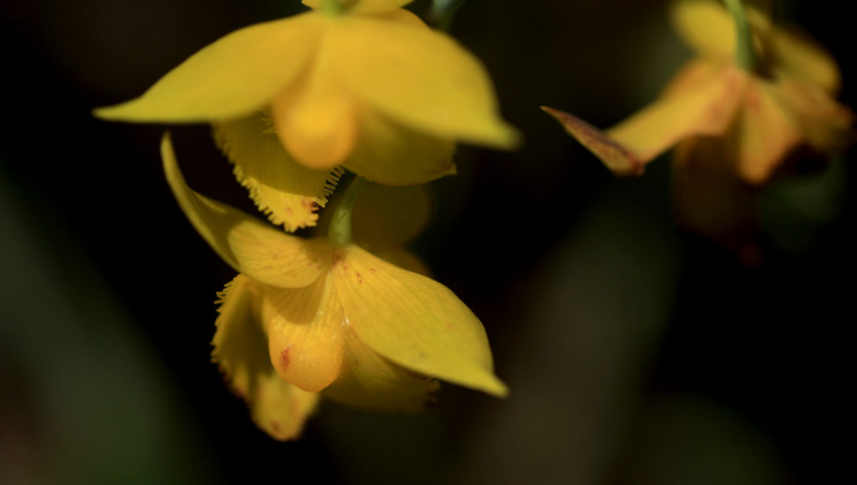 9 Beautiful Wildflower Hikes in Sonoma County Sonoma Magazine