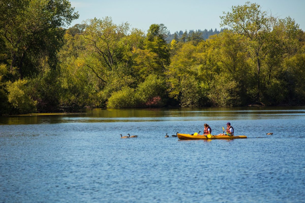 At Spring Lake in Santa Rosa. (Sonoma County Regional Parks)