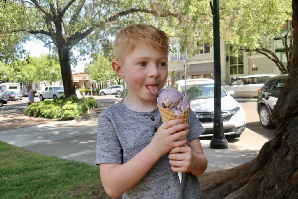 Ryeson Bull with his Blueberry Cheesecake ice cream celebrating Randall the spider, a book he penned with his mom, Shana. Photo: Shana Bull