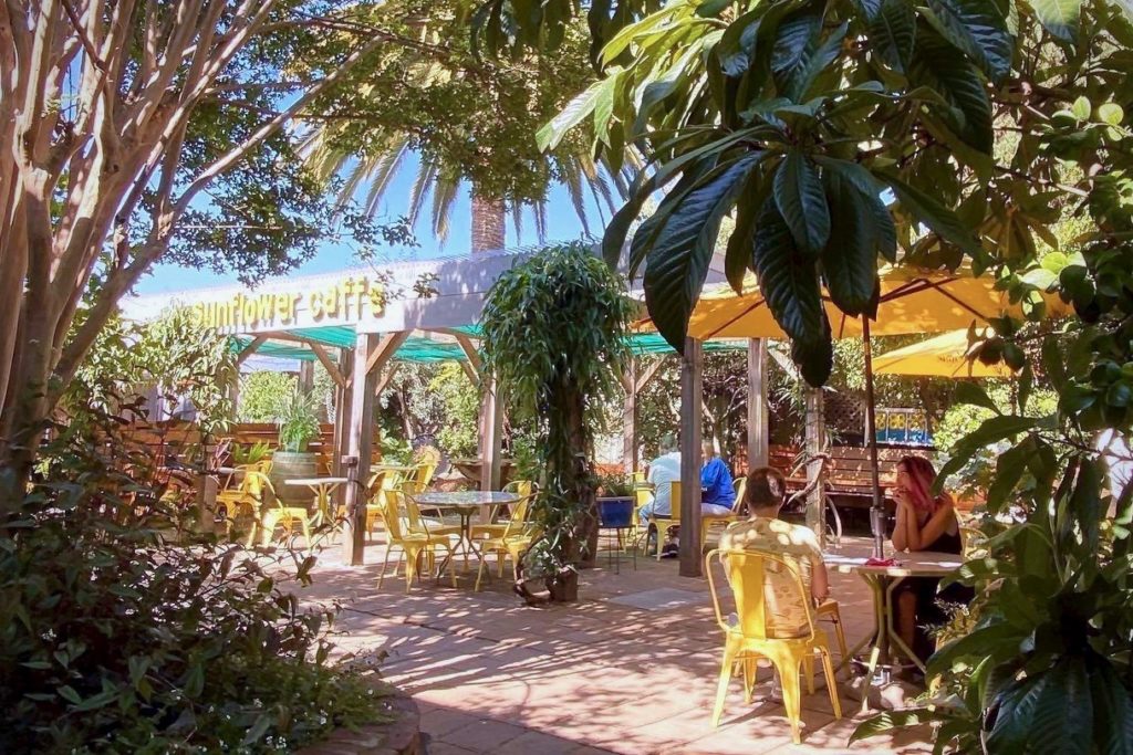 The garden patio at Sunflower Caffé in Sonoma.