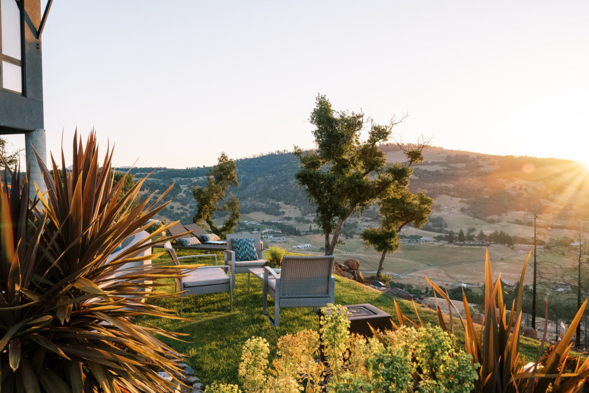 Lisa and Damon Mattson went for a radically different look for their Santa Rosa garden rebuild. It’s become a stunning, high-desert landscape of cactus and succulents that bloom from beds of finely-ground decomposed granite. (Eileen Roche/For Sonoma Magazine)