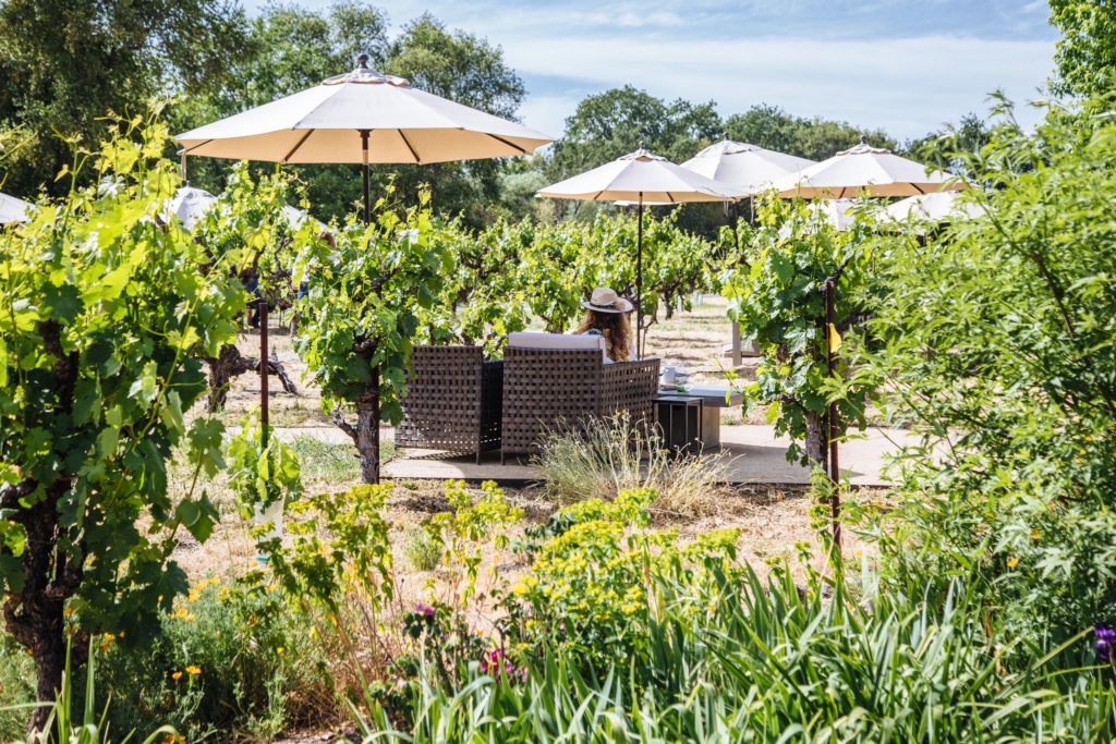 5 New Tasting Rooms to Visit in Sonoma County