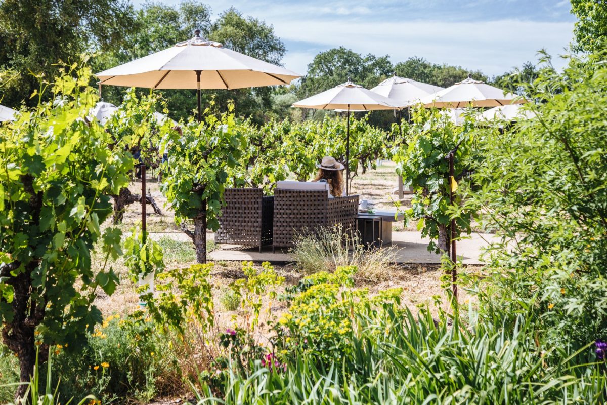 Best Sonoma wineries Abbot's Passage