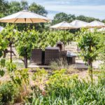 Wine lovers have a lot to look forward to this summer, including the opening of the most anticipated tasting venue this year.