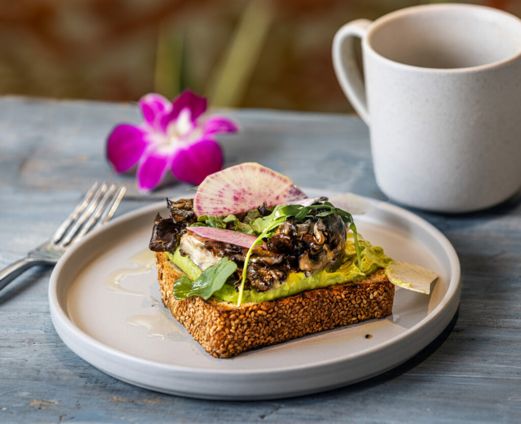 Magic Mushroom Avocado Toast with seeded wheat toast, Haas avocado, Maitake mushroom, arugula, radish and sherry-miso vinaigrette from the Lazeaway Club at the Flamingo Hotel in Santa Rosa Tuesday, March 28, 2023. (John Burgess/The Press Democrat)