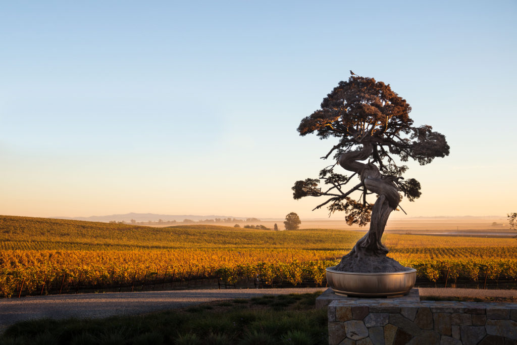 Held by Desire (The Dimensions of Freedom), 2017, by Mark Quinn at The Donum Estate in Sonoma. (Robert Berg)