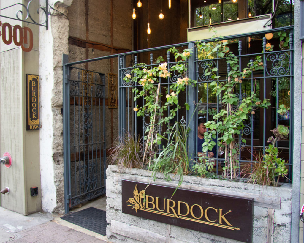 Burdock in Healdsburg. (Heather Irwin/Sonoma Magazine)