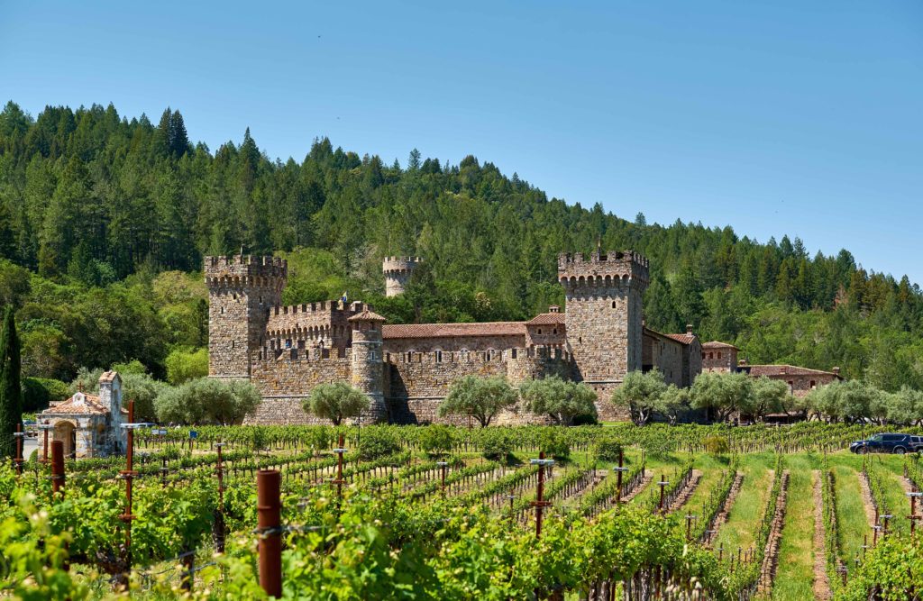 Vineyards with castle in California, USA