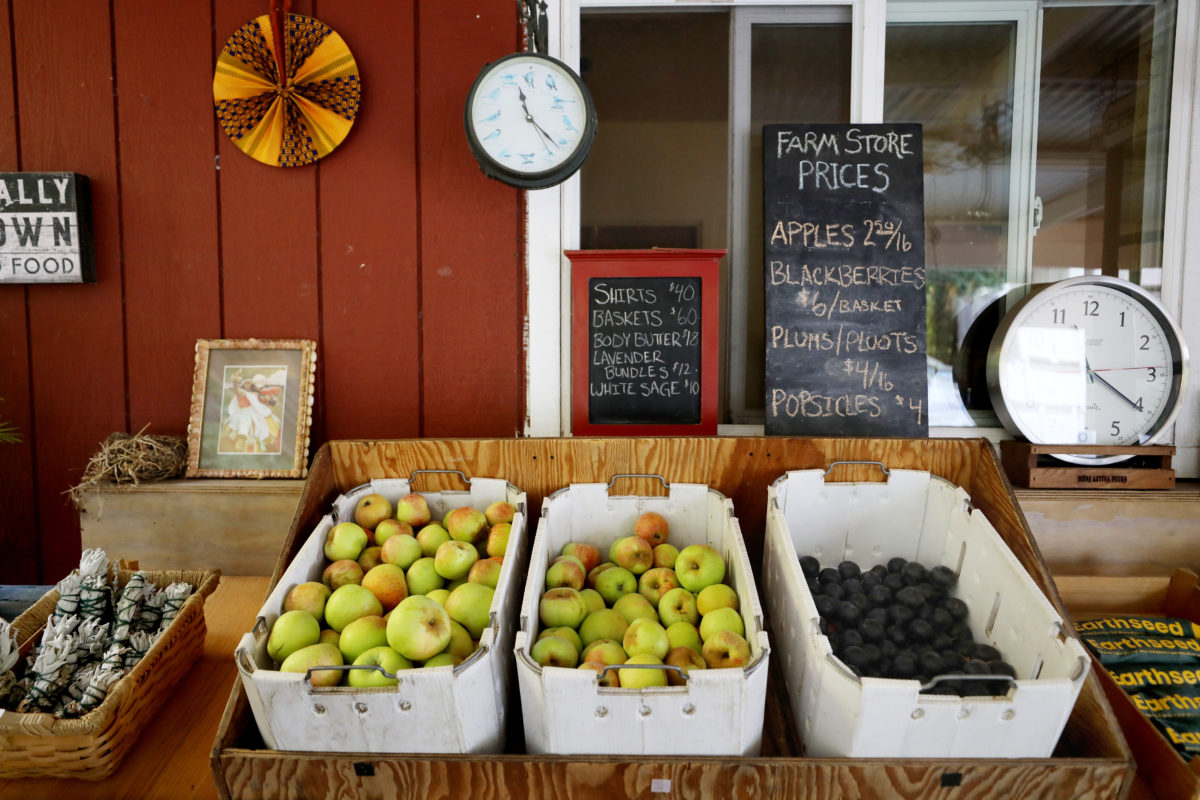 Produce, T-shirts, baskets, lavender, sage bundles and popsicles are for sale at EARTHseed Farm in Sebastopol, on Saturday, July 24, 2021. (Beth Schlanker/The Press Democrat)