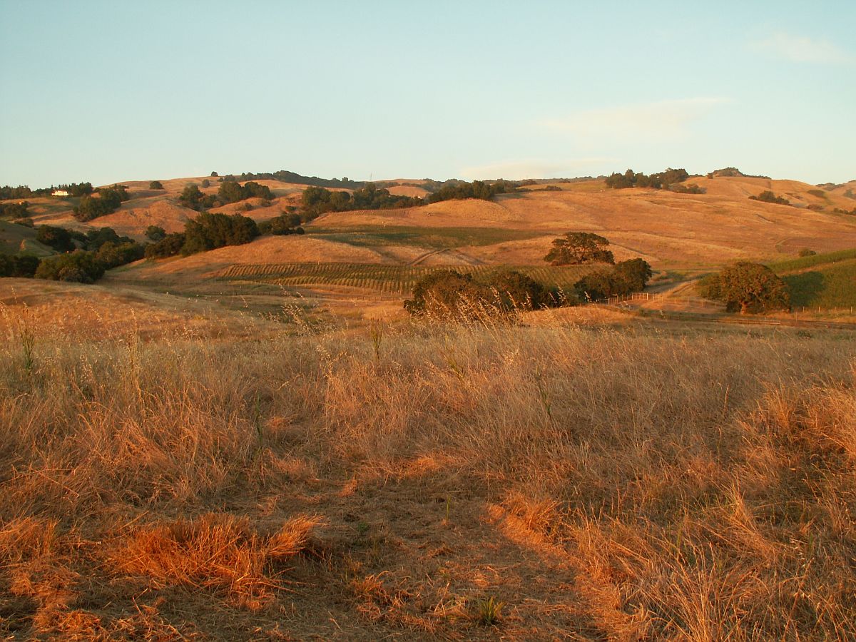 Crane Creek Regional Park