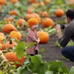 jb1017_pumpkin_010.jpg