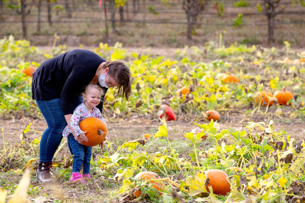 Anna Steward, 2, of Windsor smiles as he mother Megan helps her pick up a pumpkin on her first trip to the pumpkin patch at Foggy River Farm near Healdsburg, California, on Saturday, October 10, 2020. (Alvin A.H. Jornada / The Press Democrat)