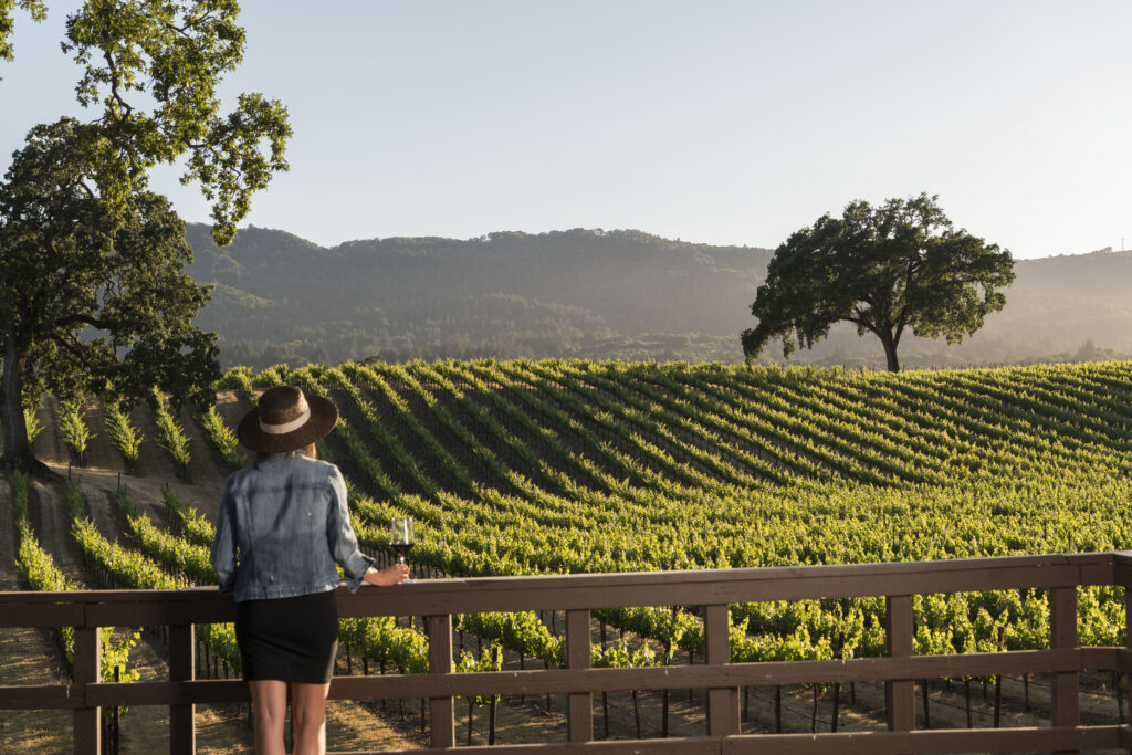 Where to Taste Wine in Sonoma on Thanksgiving Day Sonoma Magazine