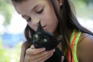 Angelina Silva, 10, of Windsor, holding a 10-week-old kitten named Salami that she was considering adopting from the Pets Lifeline animal shelter during a pet adoption event held in the parking lot of the Airport Stadium 12 movie theater on Aviation Blvd. in Santa Rosa on Saturday. July 9, 2016. (Photo: Erik Castro/for The Press Democrat)