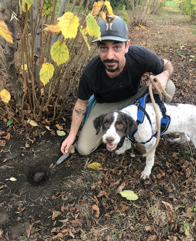 Truffle Hunters Strike Gold in Geyserville Sonoma Magazine