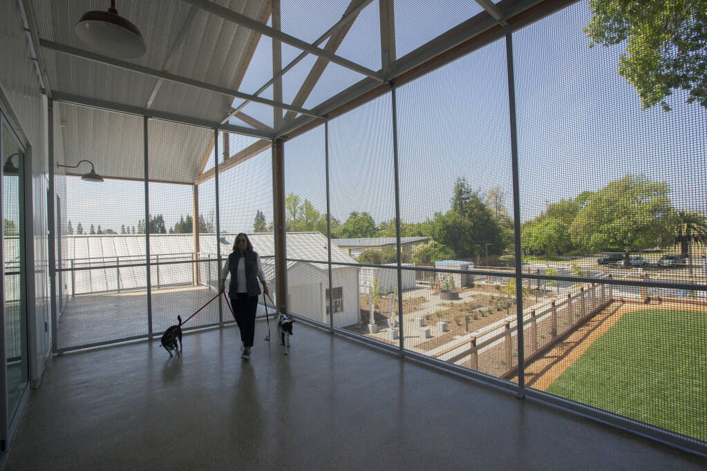 The ‘catio’ - a large outside area for cats in the new main Pets Lifeline building on Eight Street East. (Photo by Robbi Pengelly/Index-Tribune)