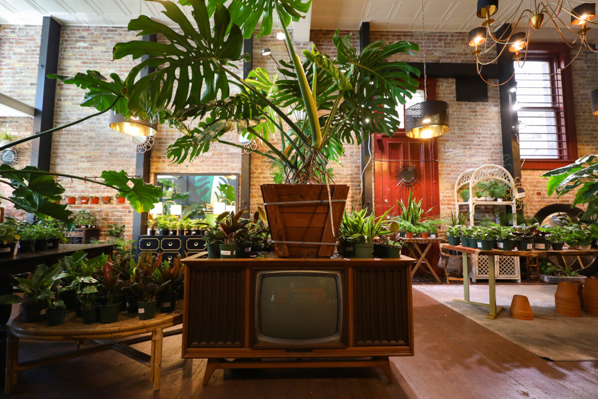 The Botany Zhi showroom in Santa Rosa on Friday, May 14, 2021. (Christopher Chung/ The Press Democrat)