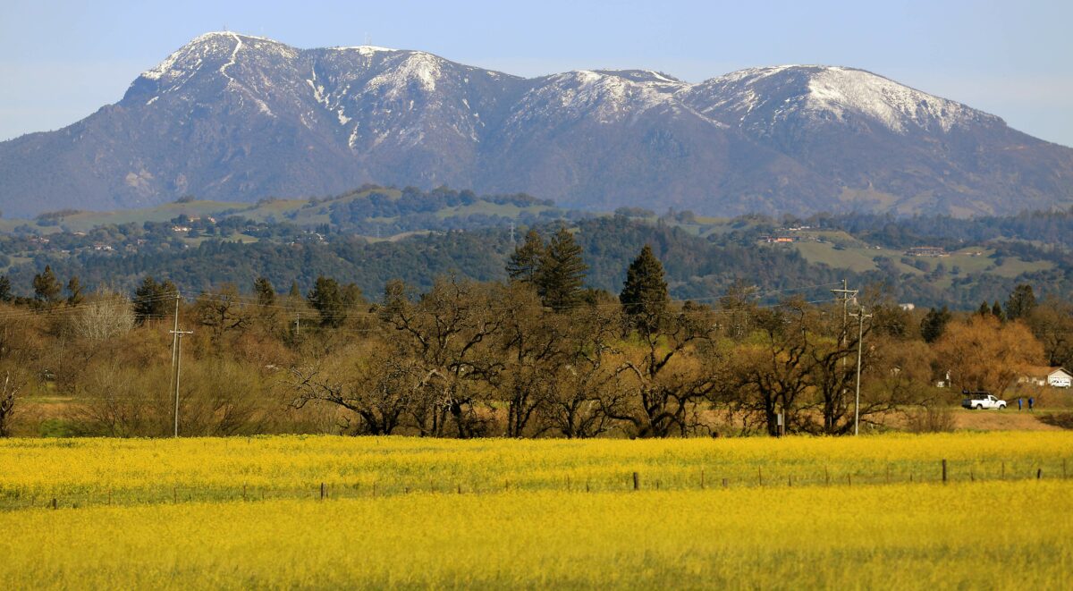 Snow-capped Mount St. Helena as seen from the Laguna de Santa Rosa. (Kent Porter/The Press Democrat)