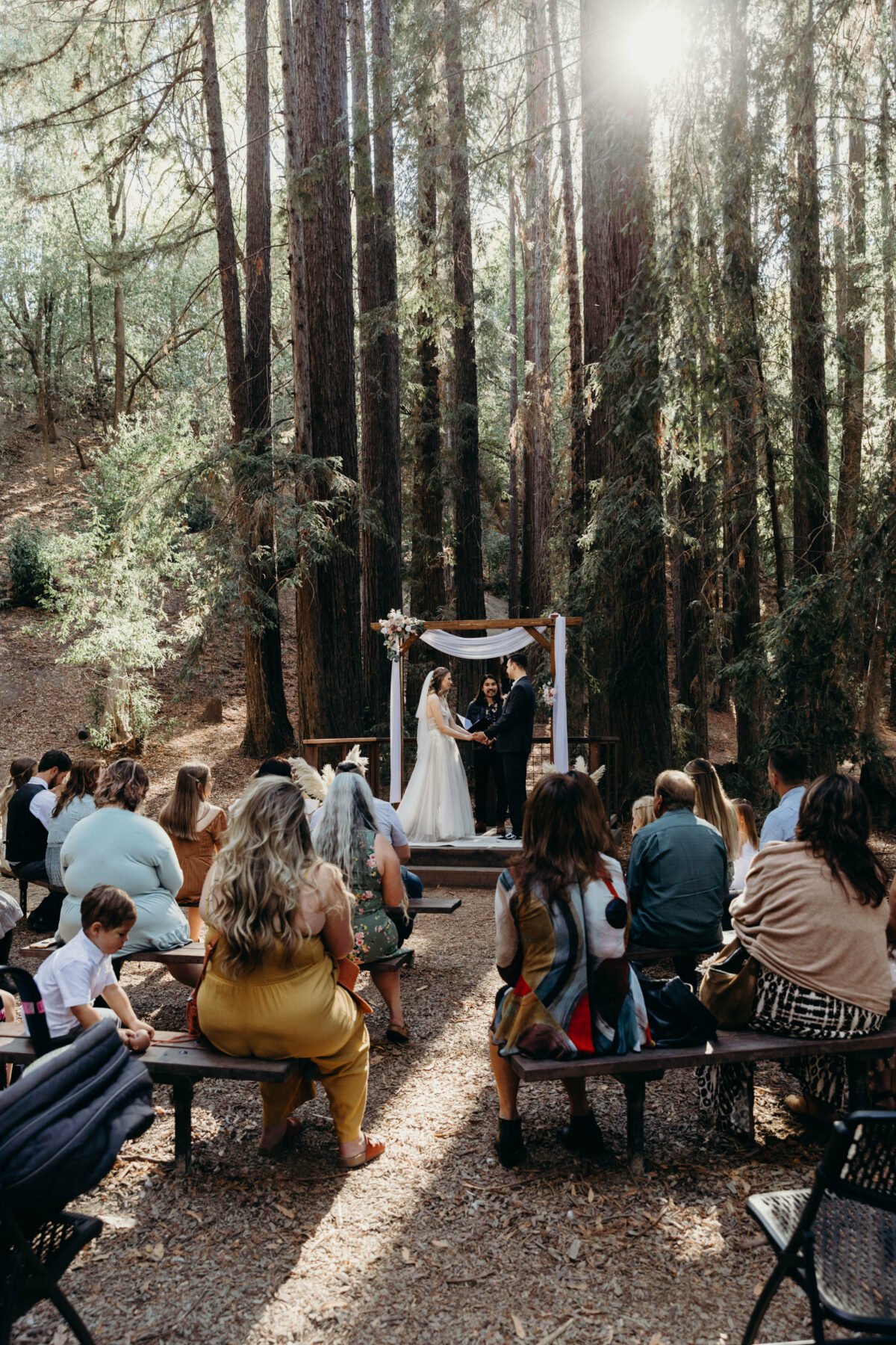 After Months Apart, a Couple Marries Under the Redwoods in Healdsburg Sonoma Magazine