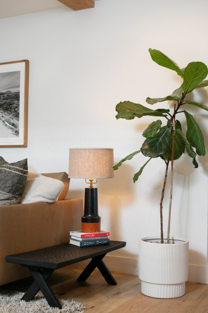 Interior designers Jenne and Adam Wicht's home in Sonoma. (Eileen Roche/for Sonoma Magazine)