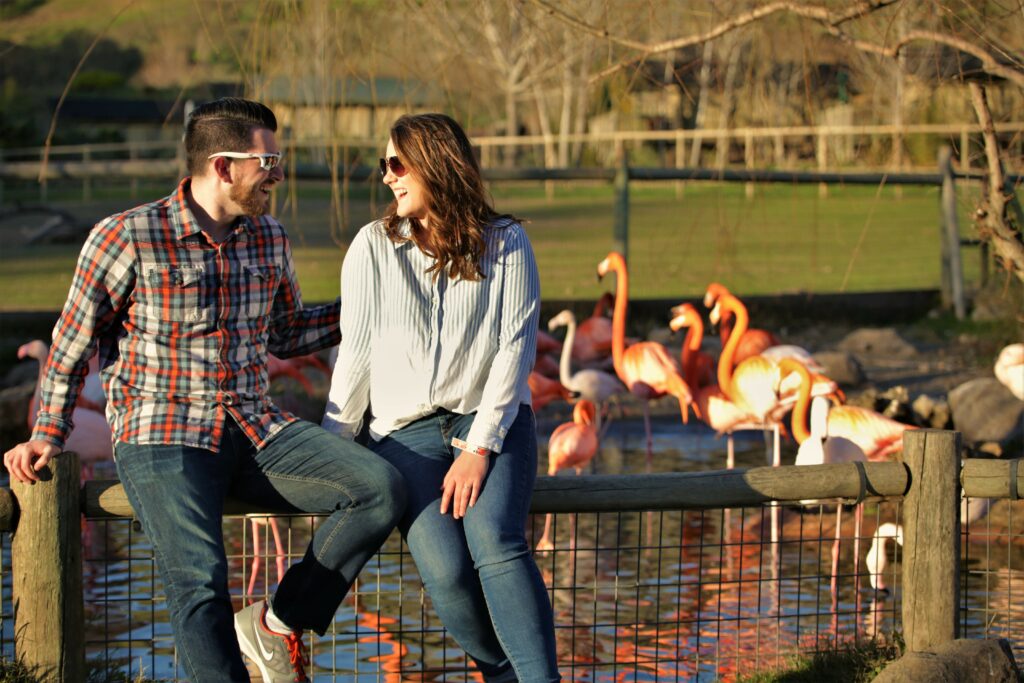 Luke and Katey Schmidt share a laugh at Safari West on Sunday, Feb. 11, 2018, as the animal preserve hosted its 'Wild Jungle Love' Valentine's Day party. The adults-only adventure explored animal courtship at the 400-acre preserve, featuring a private 'Animal Amour' tour and gourmet lunch. (Photos: Will Bucquoy for the Press Democrat)