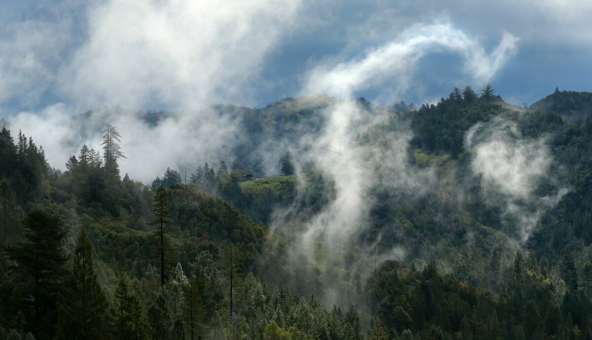 Clouds swirl through the coastal mountains off Fort Ross Road west of Cazadero Wednesday morning as the sun peeks out to warm up the Sonoma County landscape. (John Burgess/The Press Democrat)