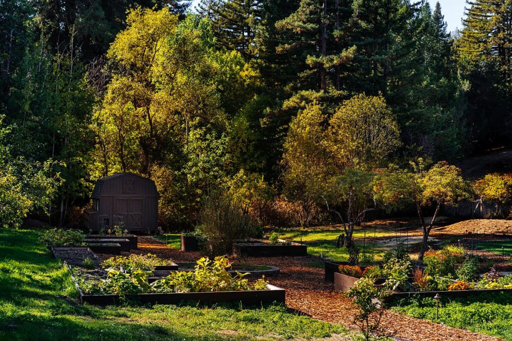 The Stavrand in Guerneville. (Emma K Creative)