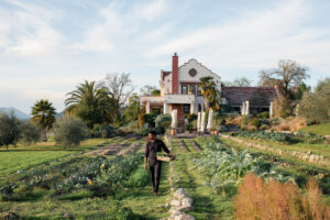 Scribe Winery’s head farmer, Stephen Carter, lived many lives before finding his way into farming. His carefully tended organic gardens are a thing of beauty in the spring. (Eileen Roche/for Sonoma Magazine)