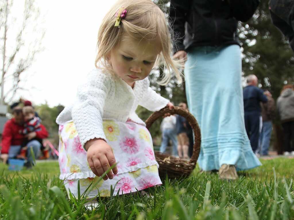 Harper Malone, 20 months, hunts for Easter eggs during the Sebastopol Kiwanis Club's Easter egg hunt held at Ives Park in Sebastopol. (The Press Democrat)