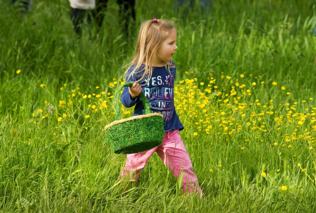 The 30th annual Glen Ellen Easter egg hunt at Dunbar School. (John Burgess/The Press Democrat)