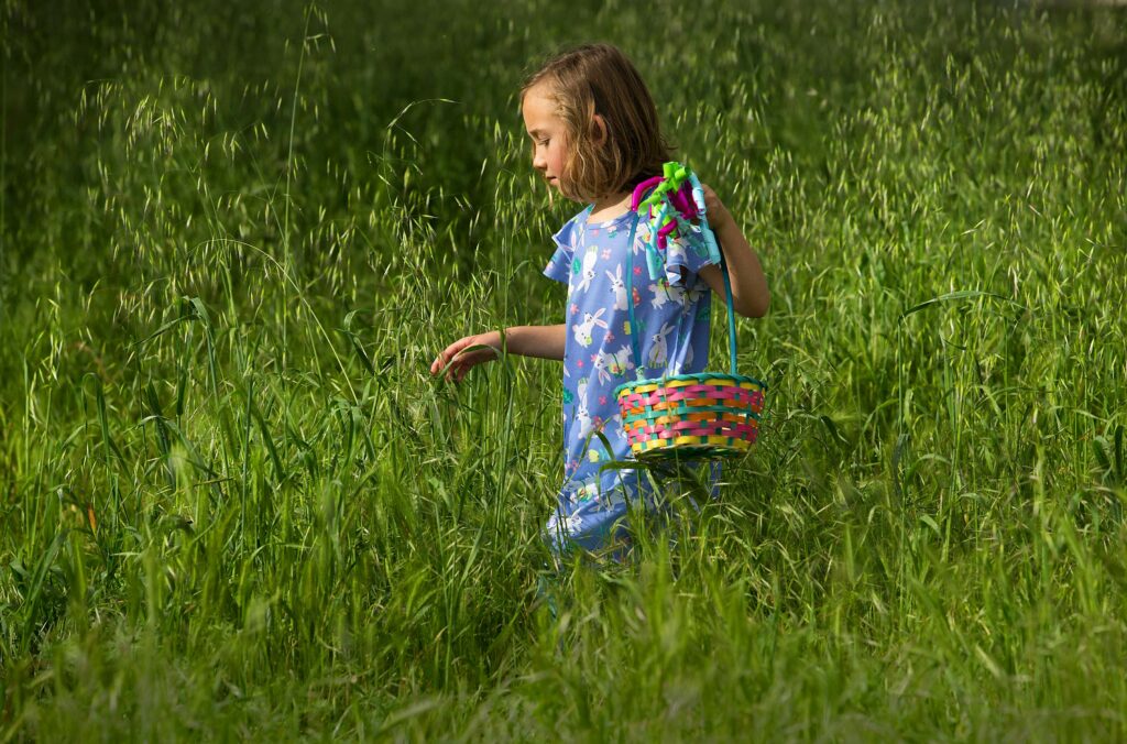 Aria Leibert, 6, searches for elusive eggs hidden in the tall grass at the 30th annual Glen Ellen Easter egg hunt at Dunbar School. (John Burgess/The Press Democrat)
