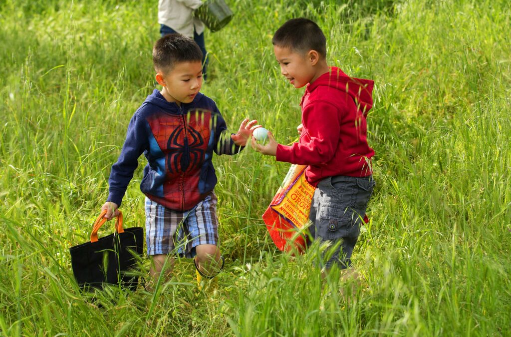 The 30th annual Glen Ellen Easter egg hunt at Dunbar School. (John Burgess/The Press Democrat)