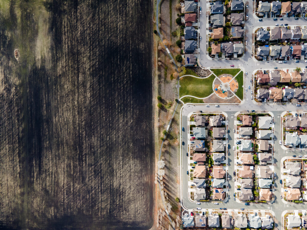 A fallow field next to an east Petaluma neighborhood lies charred black. (John Beck/for Sonoma Magazine)