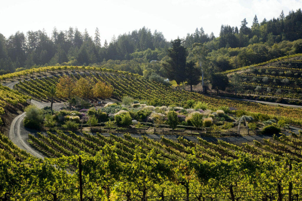 Benziger Family Winery in Glen Ellen. (Courtesy of Benziger Family Winery)