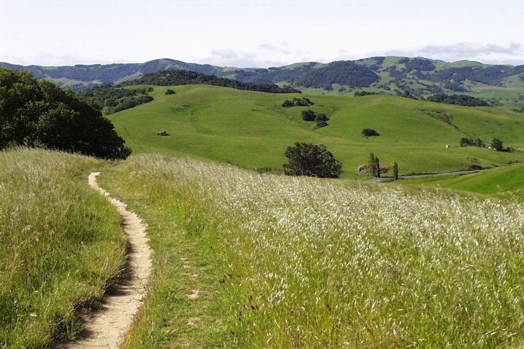 An event at 6 p.m. April 29 at Helen Putnam Regional Park in Petaluma is aimed at teaching the basics to rookie backpackers and campers. (Sonoma County Regional Parks photo)