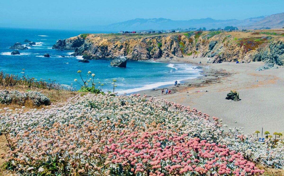 Schoolhouse Beach at Sonoma Coast State Park near Bodega Bay. (Sonoma County Tourism)
