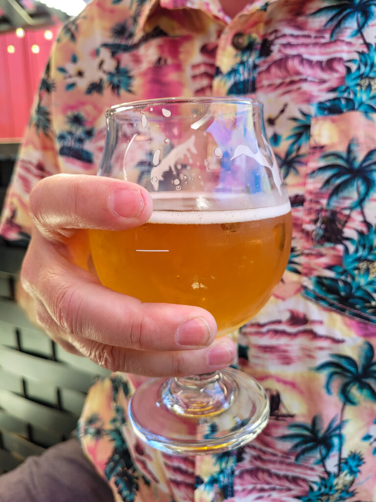 Smelltron 3030 at Corner Project Ales and Eats in Geyserville. (Heather Irwin / Press Democrat)