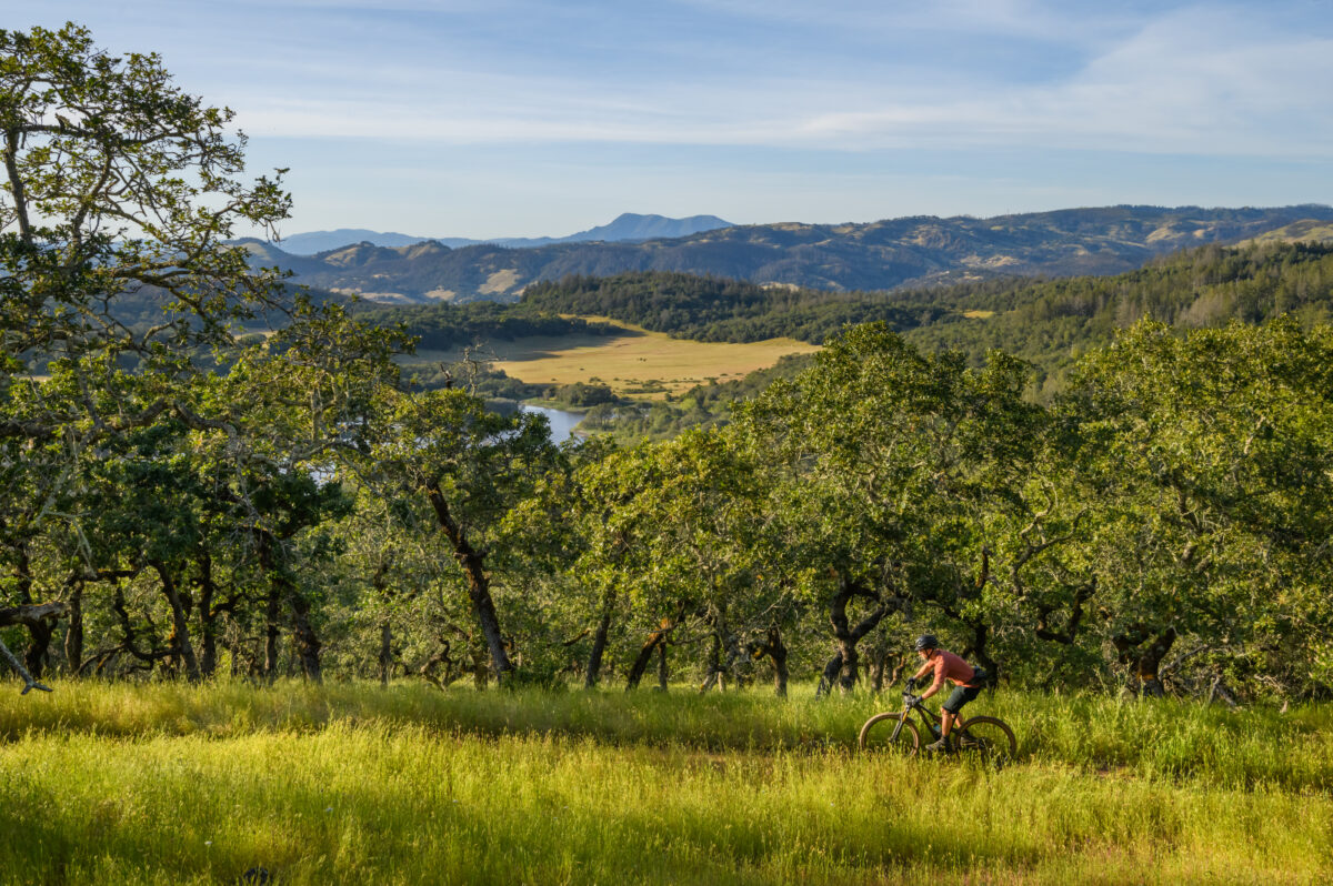 Jeremiah Kahmoson mountain biking in Annadel-Trione State Park in Santa Rosa, California. (Jerry Dodrill Photography)