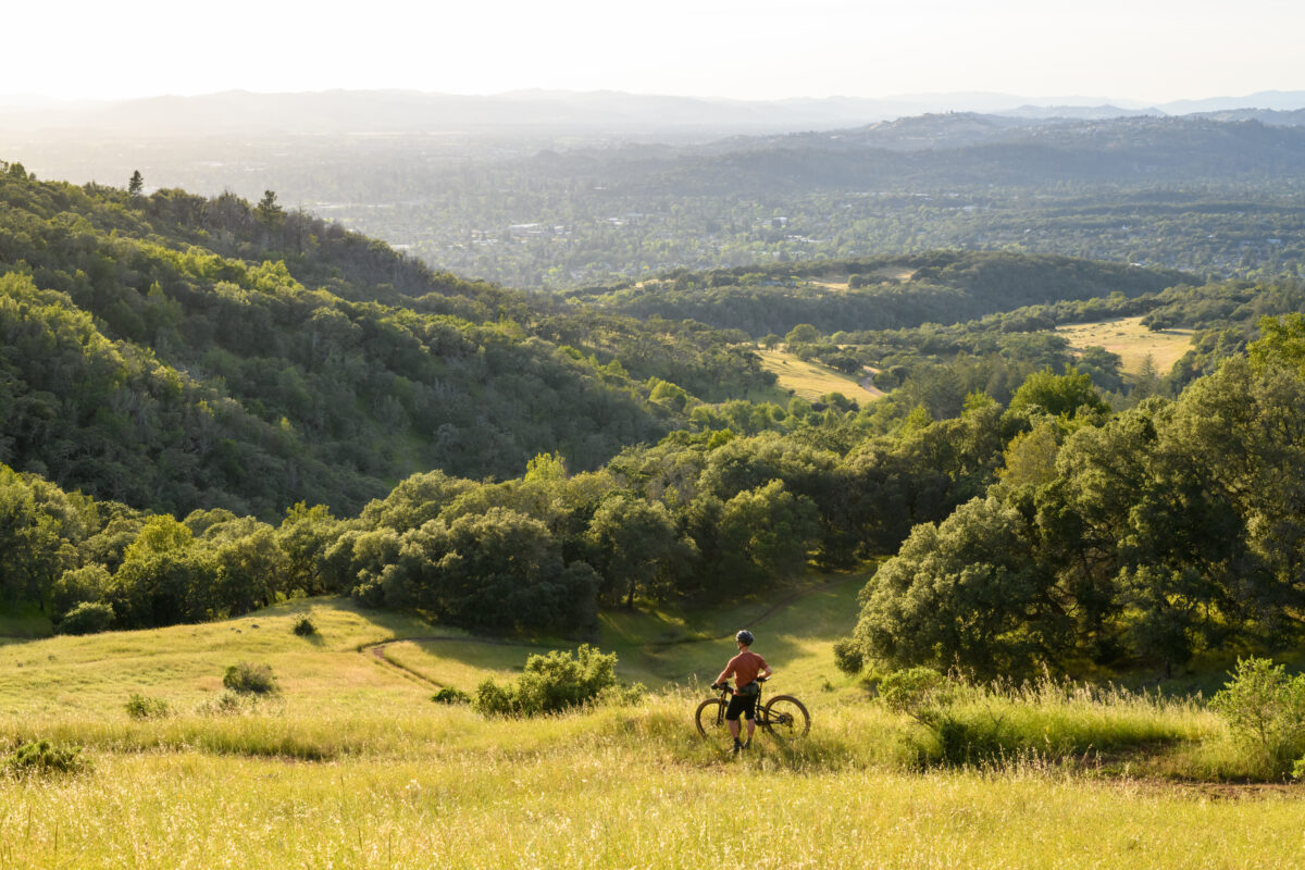 Jeremiah Kahmoson mountain biking in Annadel-Trione State Park, Santa Rosa, California