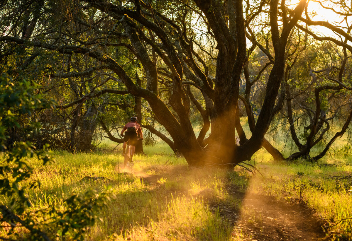 Jeremiah Kahmoson mountain biking in Annadel-Trione State Park in Santa Rosa, California. (Jerry Dodrill Photography)