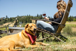 It’s all about pooches and Pinot at Lula Cellars in the Anderson Valley. (Lula Cellars)
