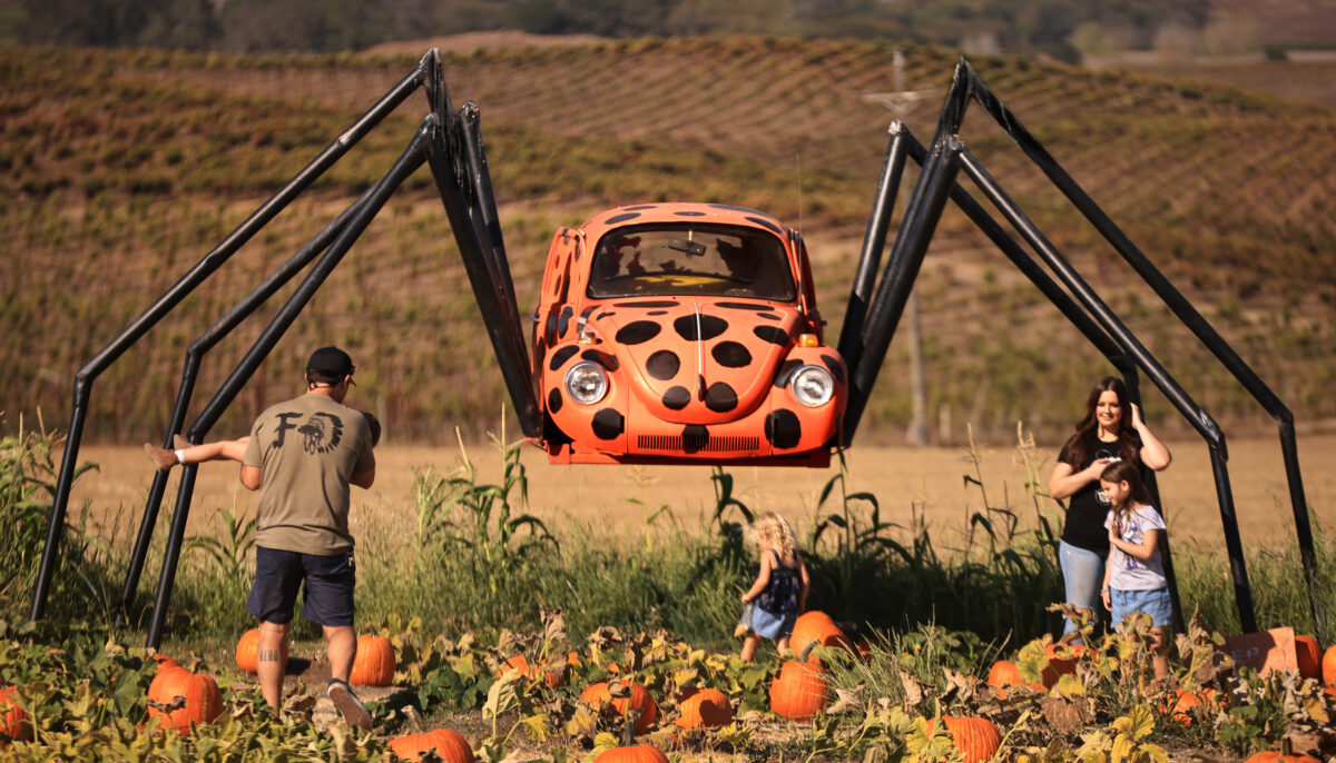 Jordan Bacho scoops up daughter Isla as he and his wife Kristina with daughter Emery and friend Charisma Nagle prepare to have a photo taken of them in front of spider exhibit at Pronzini Farms in Petaluma, Saturday, Oct. 2, 2021. (Kent Porter / The Press Democrat)
