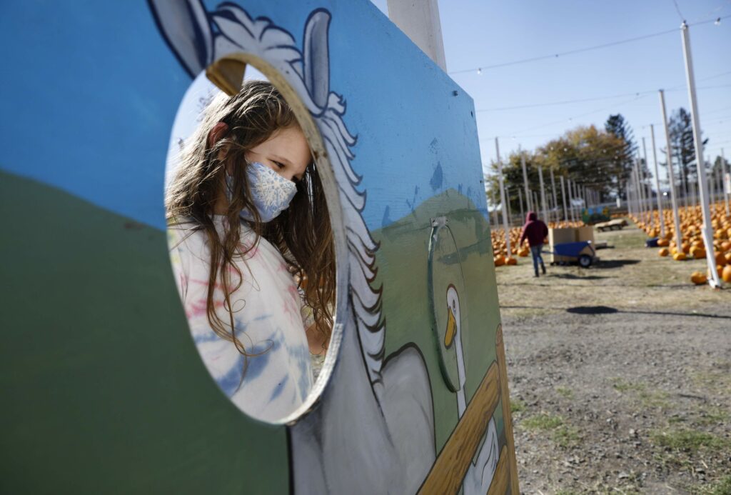 Arthur Bellagio, 8, visits Punky's pumpkin patch in Santa Rosa, on Thursday, October 26, 2017. (BETH SCHLANKER/ The Press Democrat)