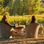 The Best Wineries in Sonoma for Fall Tastings