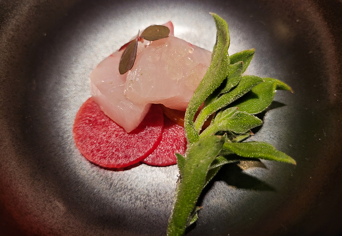 Horse mackerel, Kumquat, Finger Lime, and Shio Koji on the opening menu at Cyrus restaurant in Geyserville. (Heather Irwin / Sonoma Magazine)