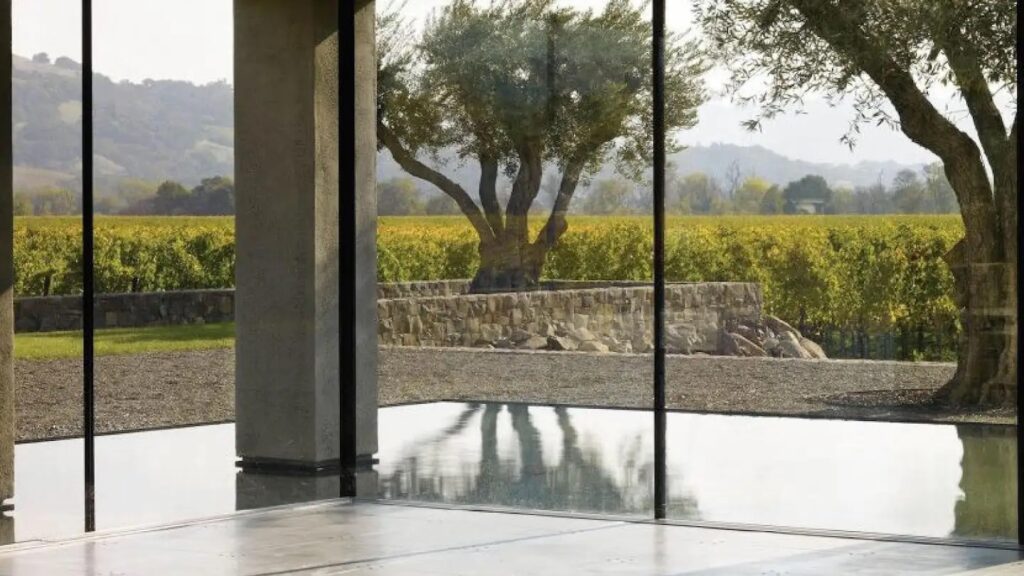 A view from the new Cyrus. The Healdsburg restaurant reopens September 2022. (Cynthia Glassell / Glassell Photography)