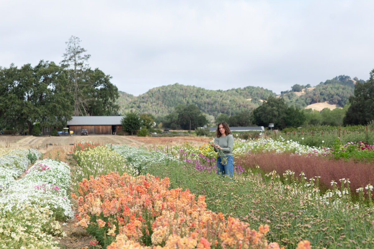 At Front Porch Farm in Healdsburg. (Eileen Roche)