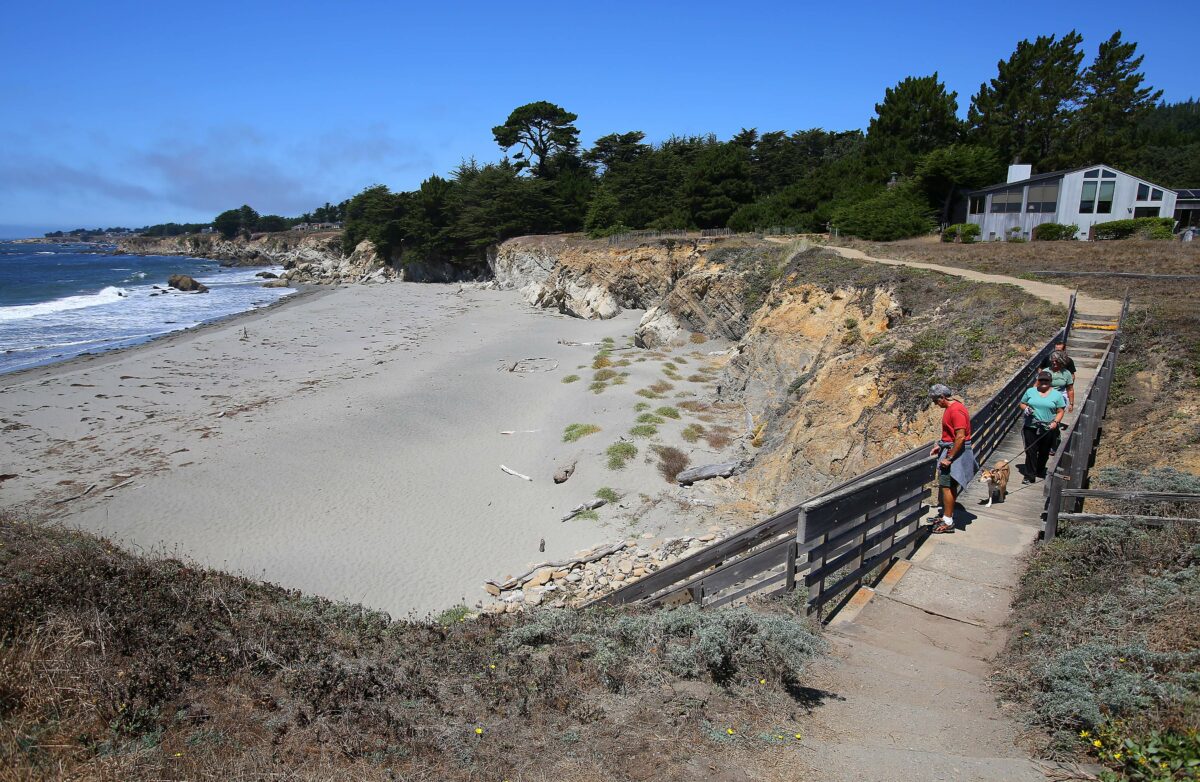 Coastal Access trails at The Sea Ranch came under the control of the Regional Parks in 1984. In this photo, Tom Aswad, left, followed by Cindy Rubin, Donna Aswad and Jeff Rubin, walk along a re-opened trail with access to Walk-On Beach at the park in 2014.(Christopher Chung/ The Press Democrat)