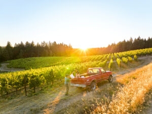 Winemaker Vanessa Wong heads out to the vineyards to check on ripening, a daily chore at harvest. (Kim Carroll) 