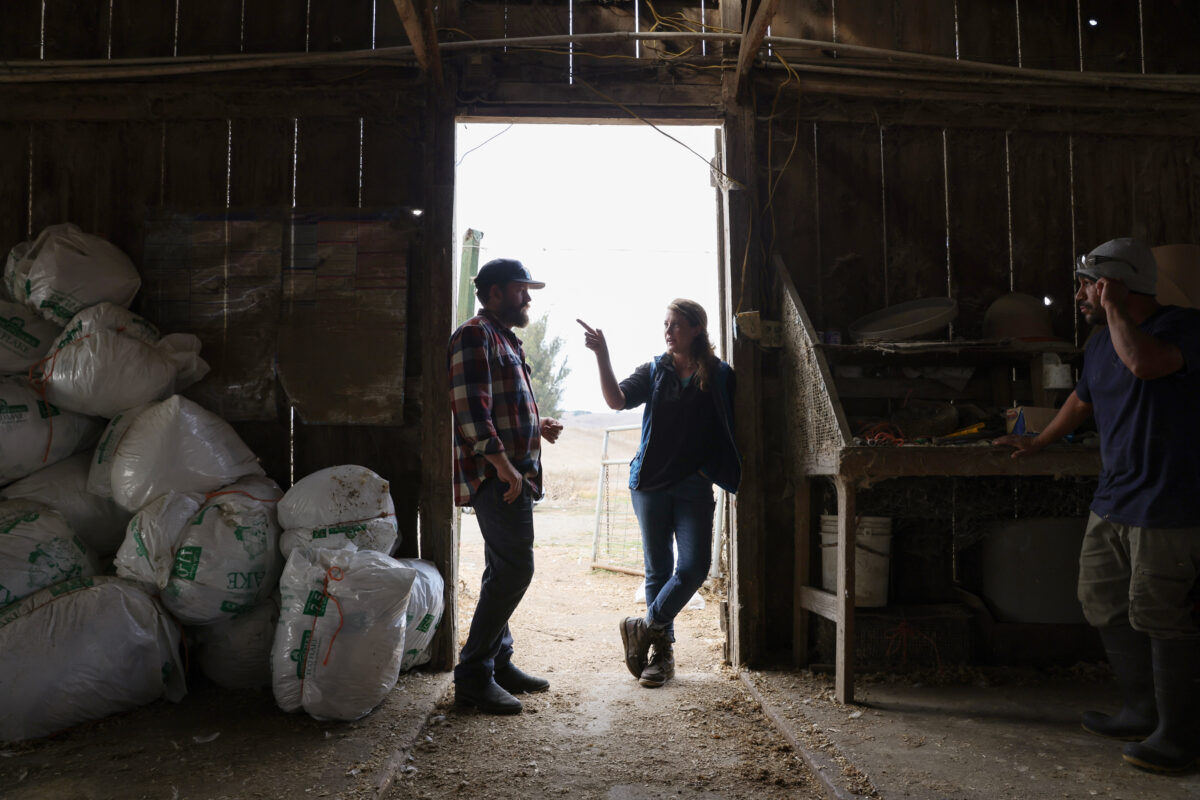 Siblings Eric and Jennifer Reichardt discuss the morning’s chores at the family farm outside Petaluma. (Christopher Chung/The Press Democrat)